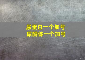 尿蛋白一个加号 尿酮体一个加号